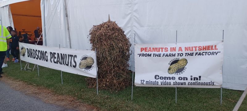 Four Days Keep Suffolk’s Biggest Fall Tradition Moving