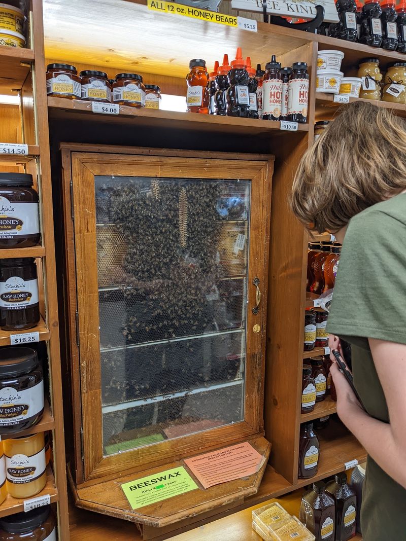 A Working Beehive Right Inside the Store