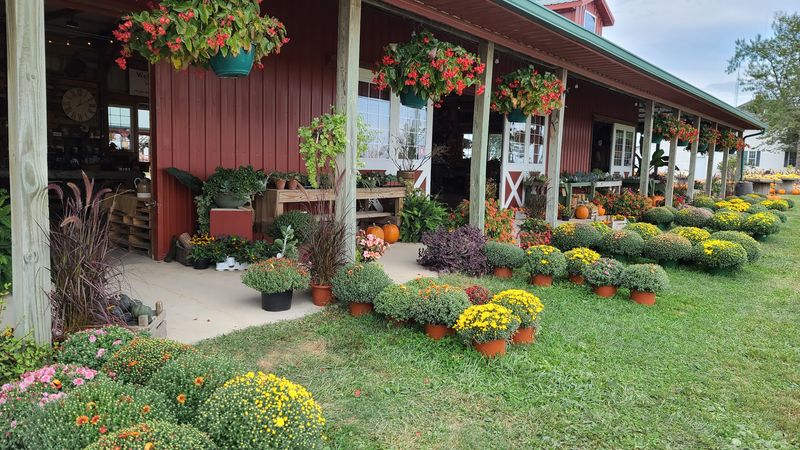 The Pitchfork Café at Harvestville Farm, Donnellson