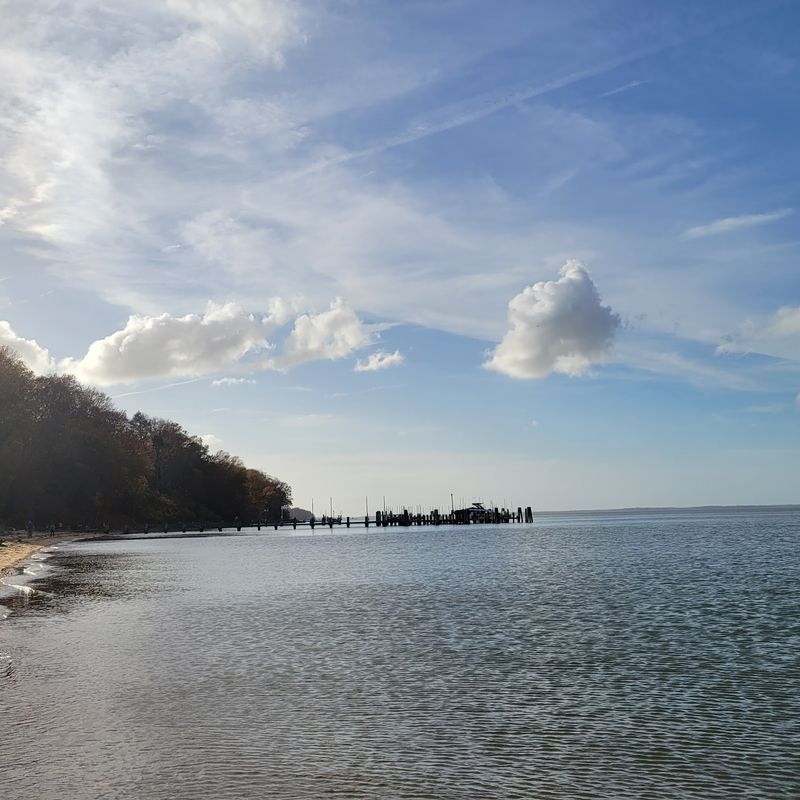 Calm Tides And Low Salinity Give The Beach A Different Character