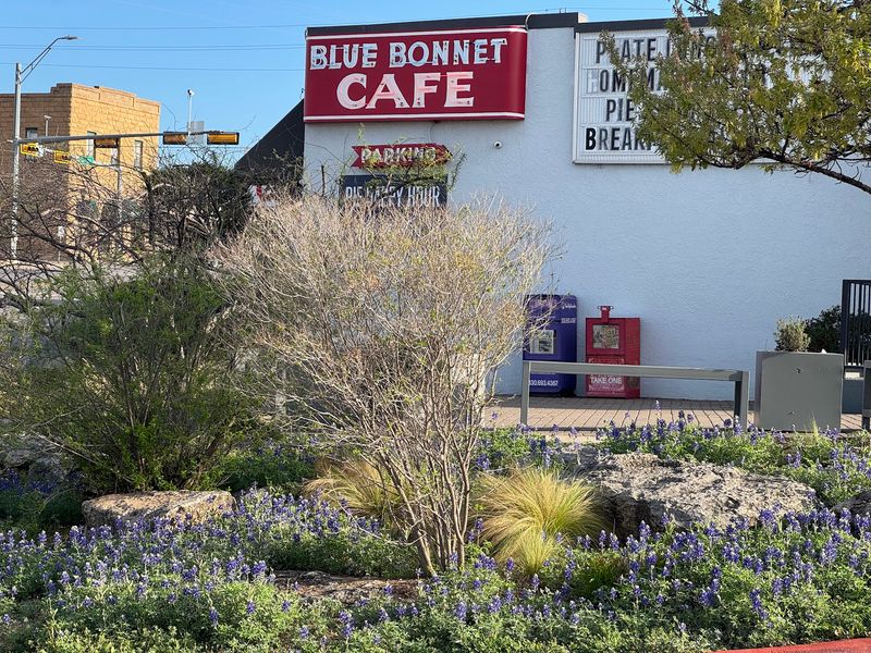 Blue Bonnet Cafe