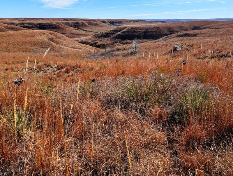 Hunting Opportunities That Draw Serious Sportspeople