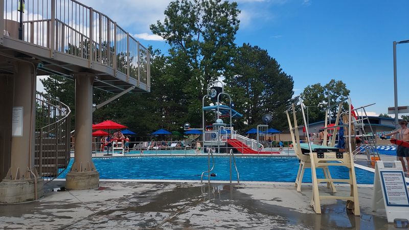 The Diving Zone Gives Brave Swimmers More Options