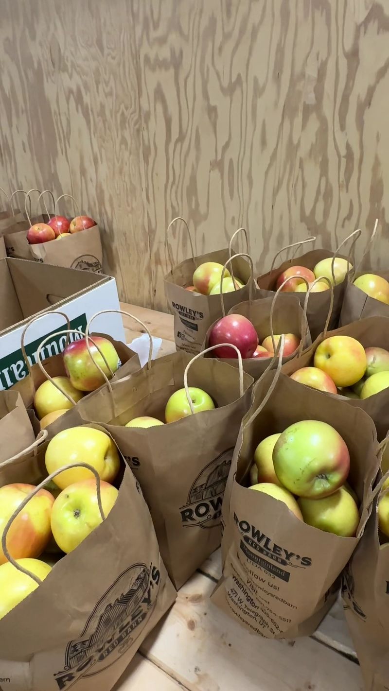 Apple Picking, Pumpkins, And The Fall Festival Pull