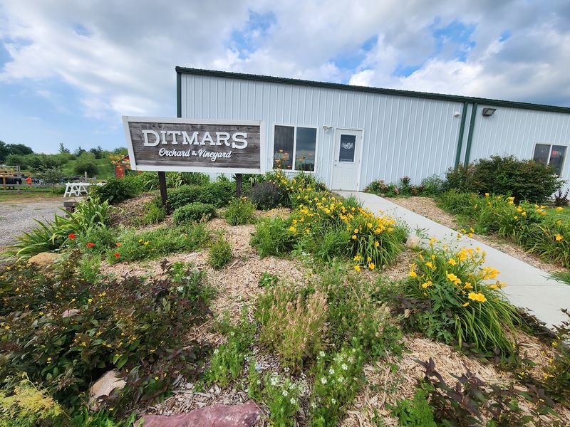 Ditmars Orchard & Vineyard, Council Bluffs