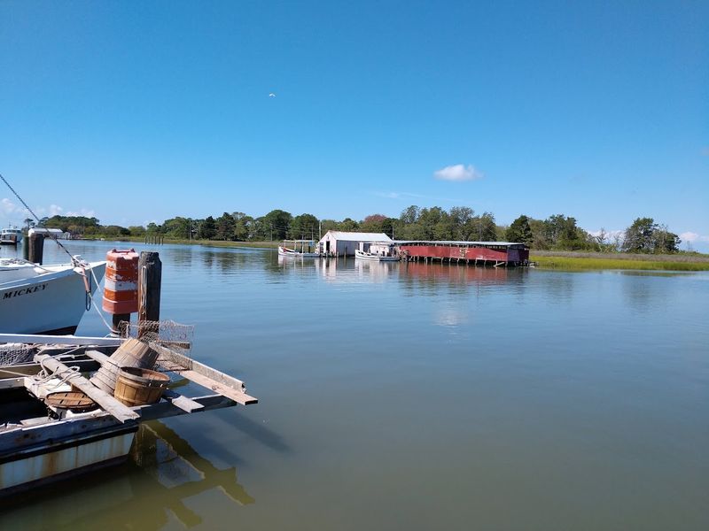 Watermen Keep The Working Waterfront Real