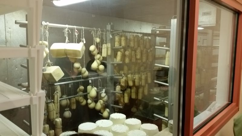 Milk From the Farms Down the Road
