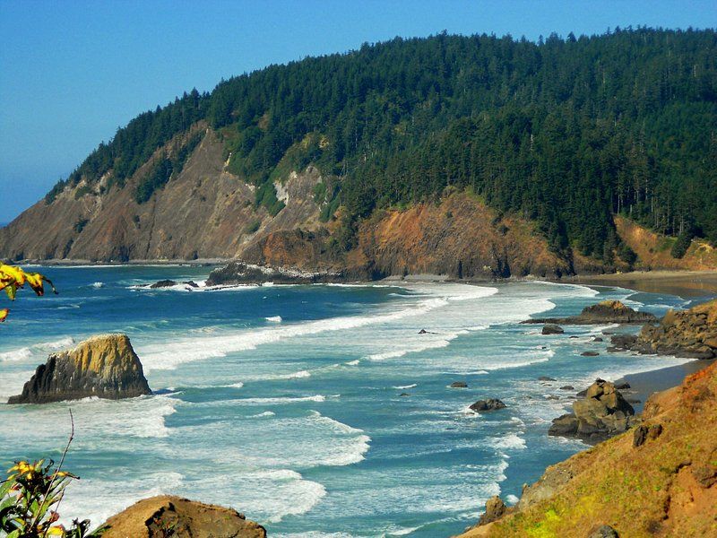 Green Headlands Give The Beach Its Island-Like Look