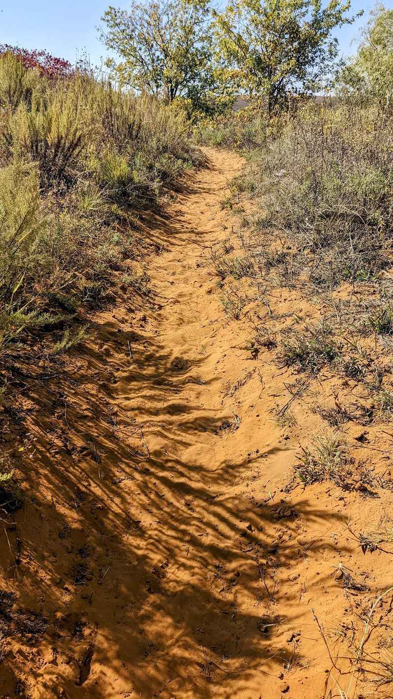 Thirty-One Miles Of Trails That Wander, Not Rush