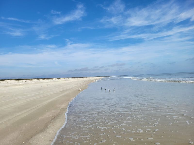 Miles Of Undeveloped Shoreline Silence The Crowd