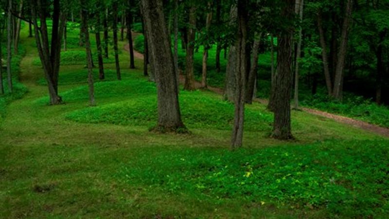 The Ancient Burial Mounds Along The Path