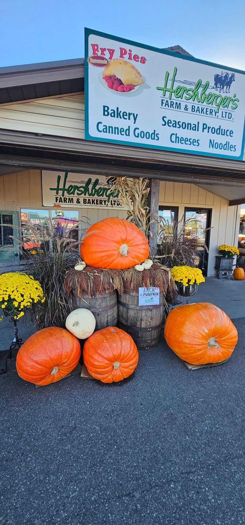 The Festival and Farmers Market Booth