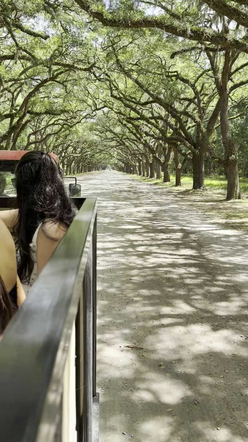 One Dreamy Road Opens Into A Much Bigger Story