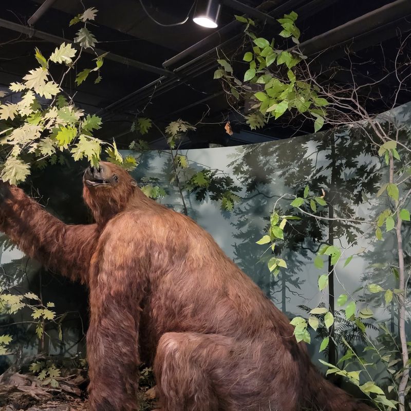 Natural History Treasures Right Next Door