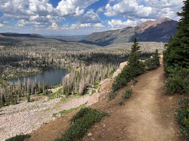 Views From the Ridges That Stop You Mid-Stride