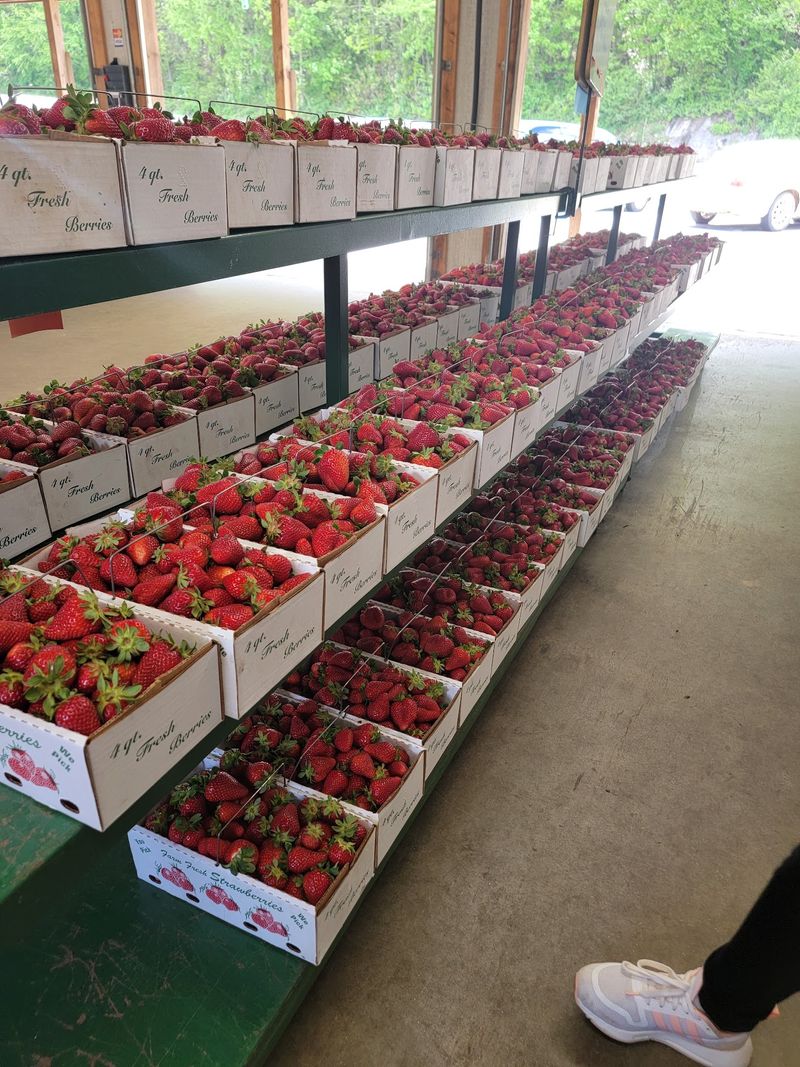 Highway 441 Makes The Market Easy To Add To A North Georgia Drive