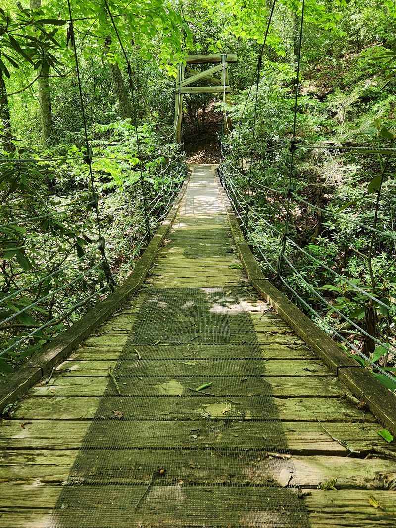 A Thirty-Foot Suspension Bridge Changes The Whole Walk