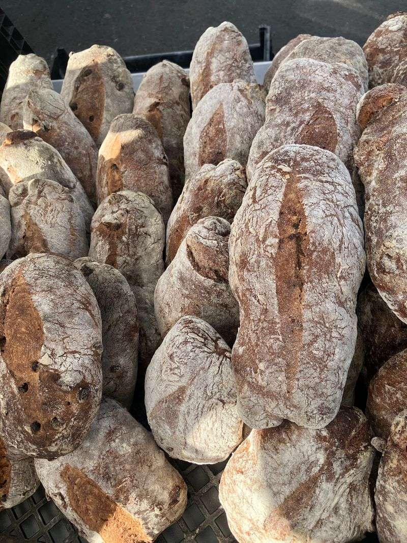 Long-Fermented Sourdough Steals The Spotlight