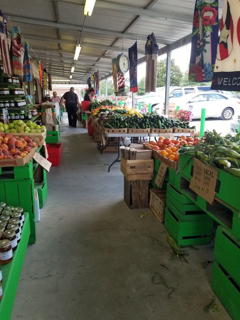 Fresh-Picked Sweet Corn Gives Summer A Clear Starting Point