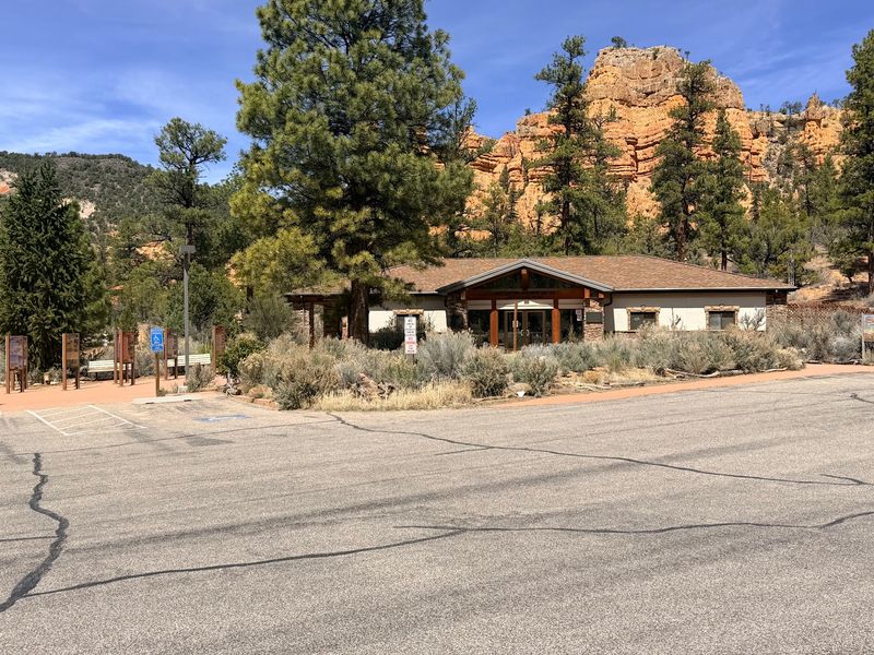 Dixie National Forest Gives The Canyon Its Working Identity