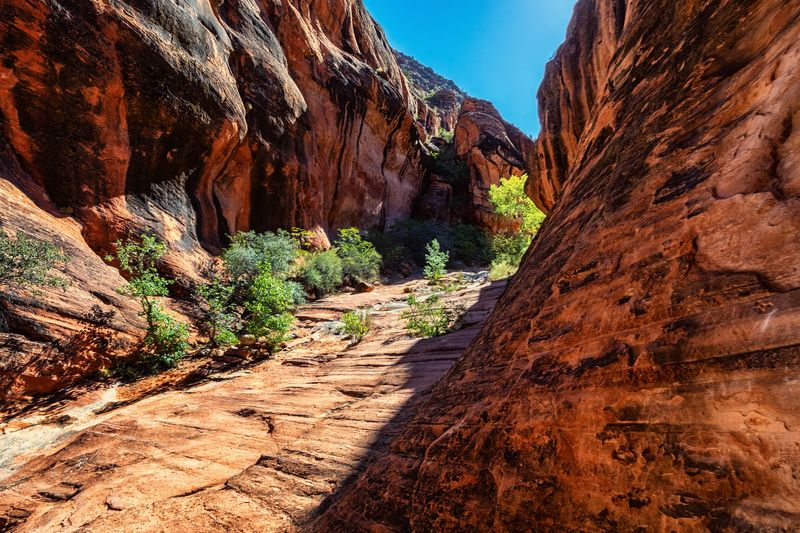 Five Dollars, One Trail, Almost No Debate Required