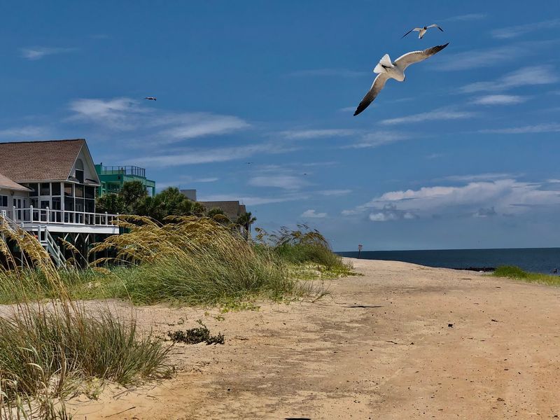 Edisto Keeps The Focus On A Gently Developed Coast