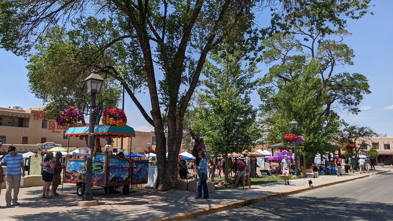 Saturday Mornings Come Alive Under The Canopies