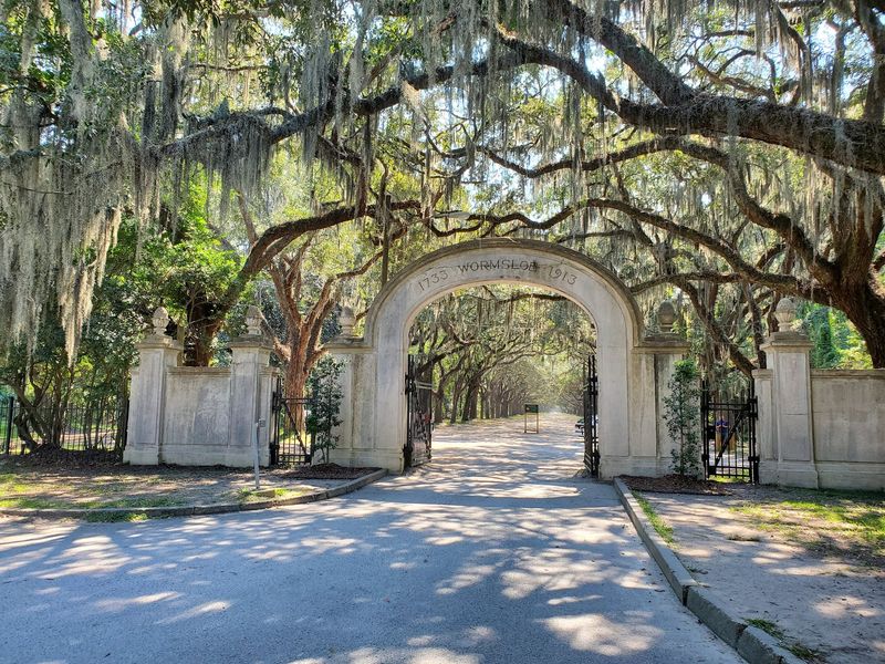Around 400 Live Oaks Turn The Entrance Into A Tunnel