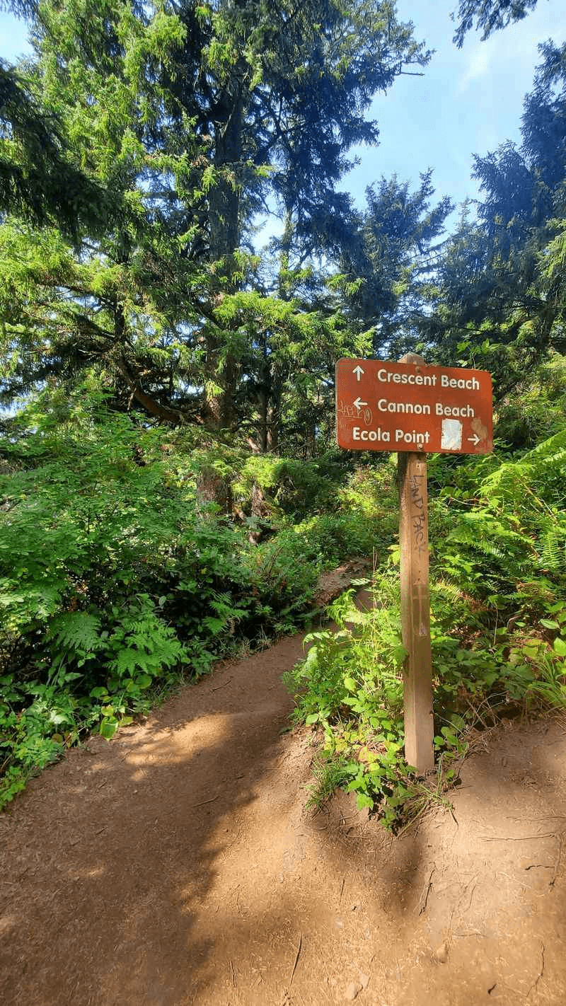 A Forest Trail Keeps This Beach Off The Easy-Access Route