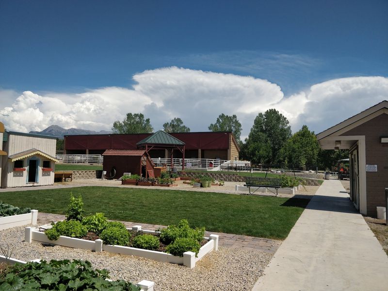 Farm Fun Express at Curiosity Farms