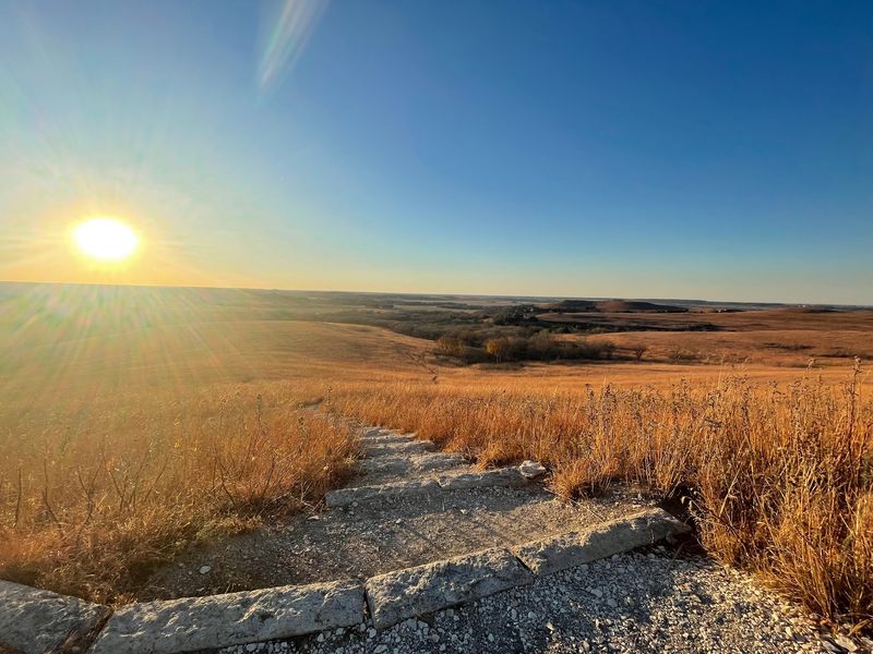 Sun-Warmed Limestone Ledges Are Prime Snake Real Estate
