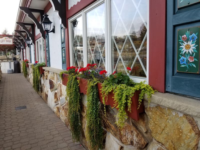 A Cheese Shop Hiding in Amish Country