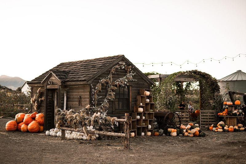 The Riverton Farm That Ends The Where Should We Go Debate