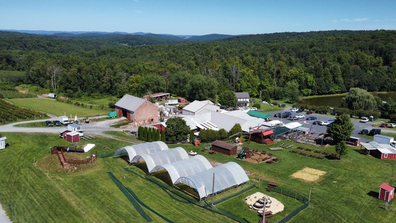 A Country Orchard Tucked Off Fruit Lane