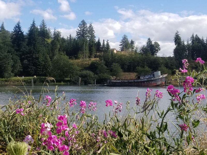 Raymond Home Prices Still Sit Below Better-Known Washington Coast Towns