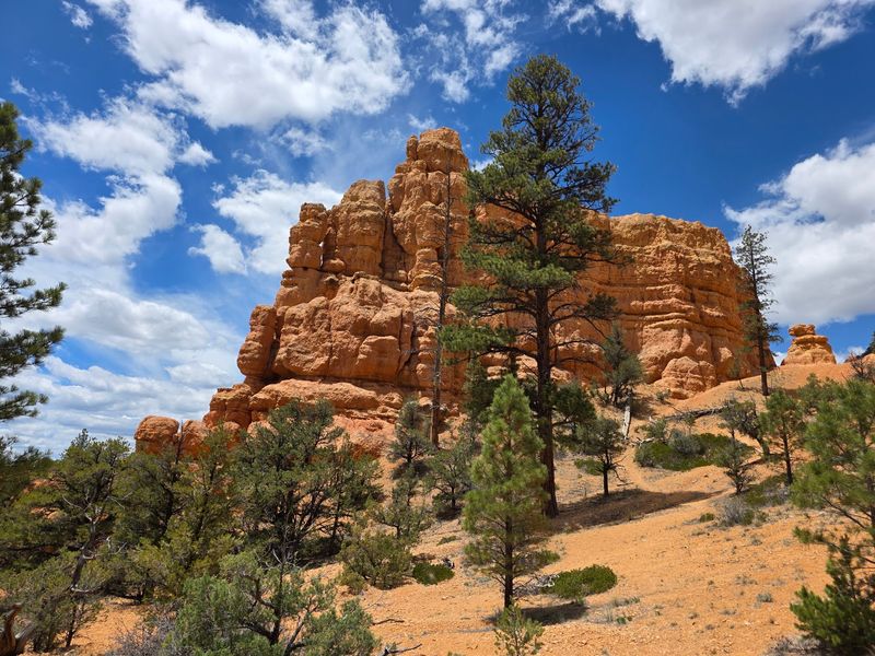 A Red Rock Entrance That Makes Planning Feel Easy