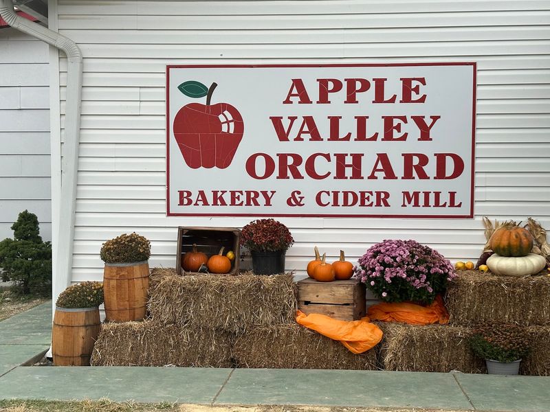 Fifteen Thousand Apple Trees Turn Fall Into Serious Harvest Season