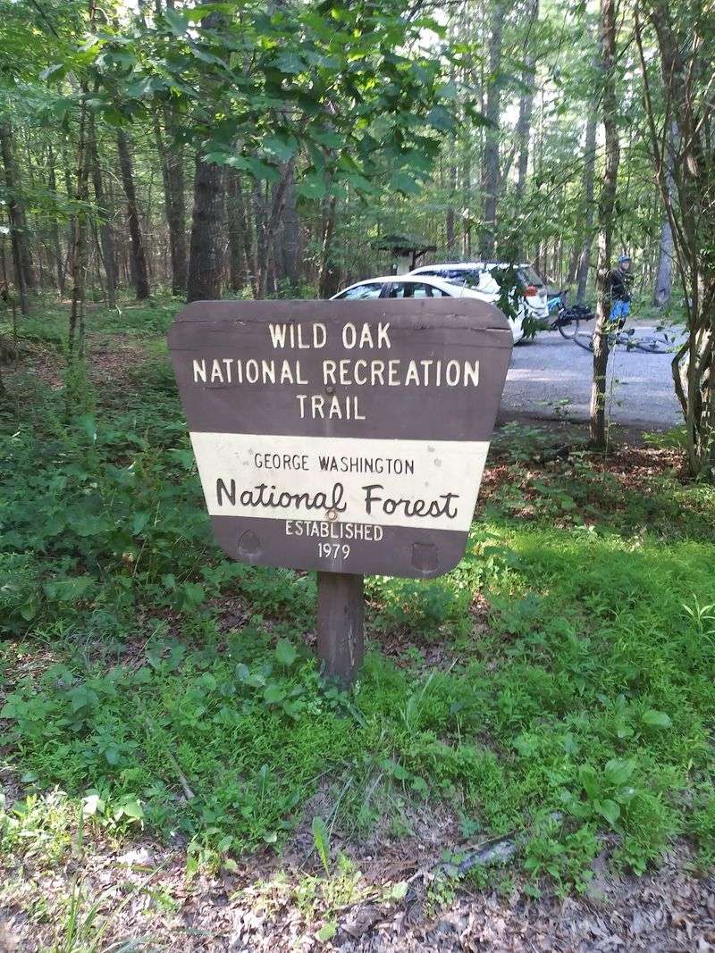A Gravel Forest Road Starts Turning Down The Volume