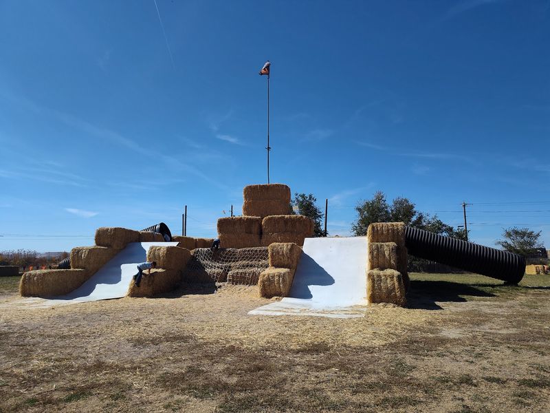 A Syracuse Farm Where The Plan Practically Writes Itself