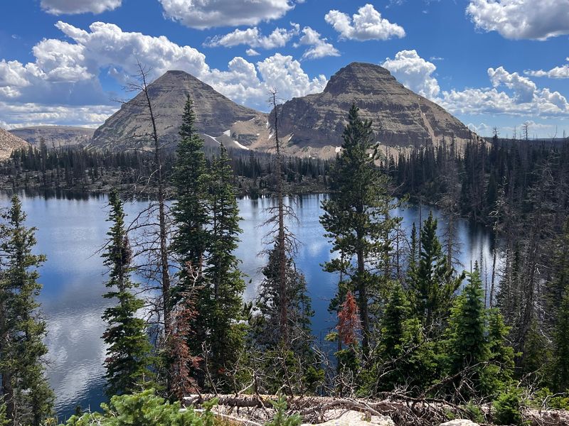 The Trail That Earns Its Name