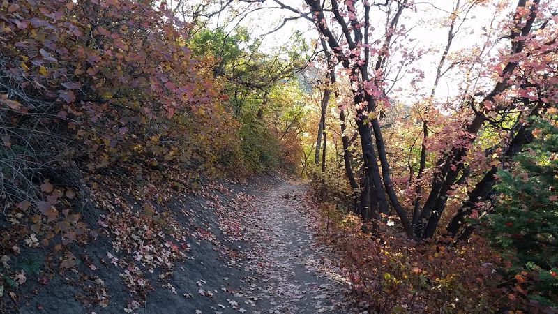 Mueller Park, Bountiful
