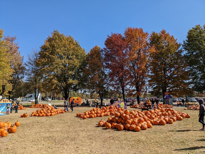 More Than Two Centuries Of Shaw Family History Sit Behind The Fall Tradition