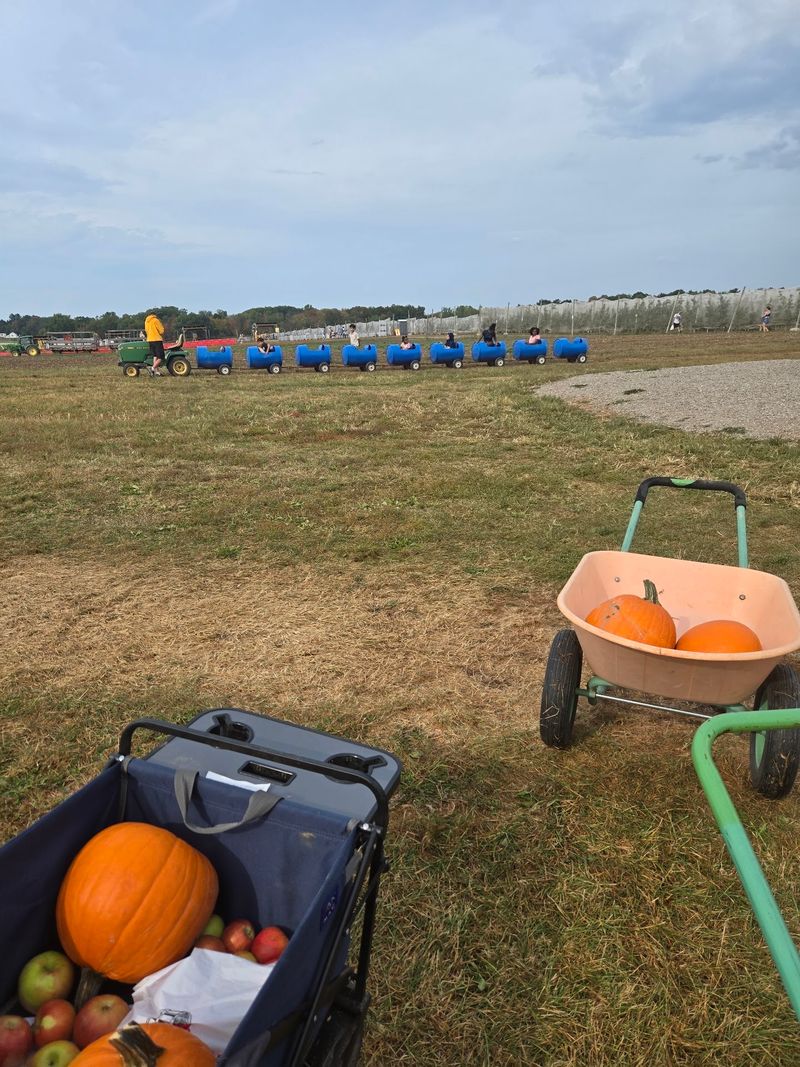 More Than Twenty Attractions Turn Apple Picking Into A Bigger Outing