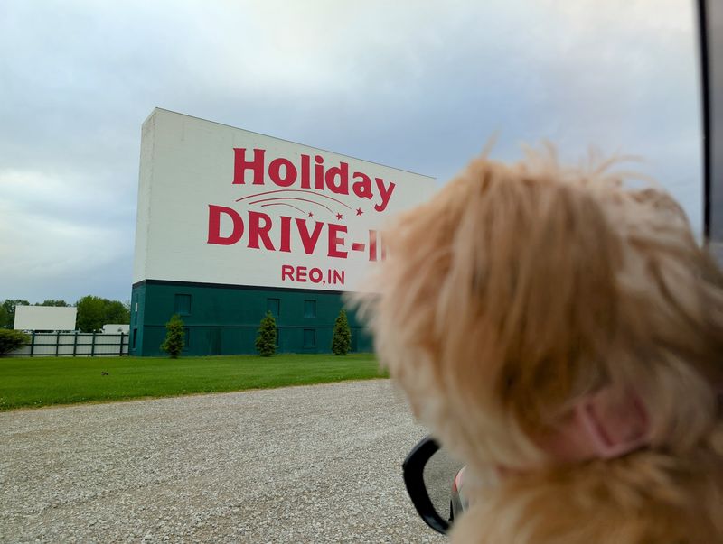 Coolers And Pets Can Come Along For Movie Night