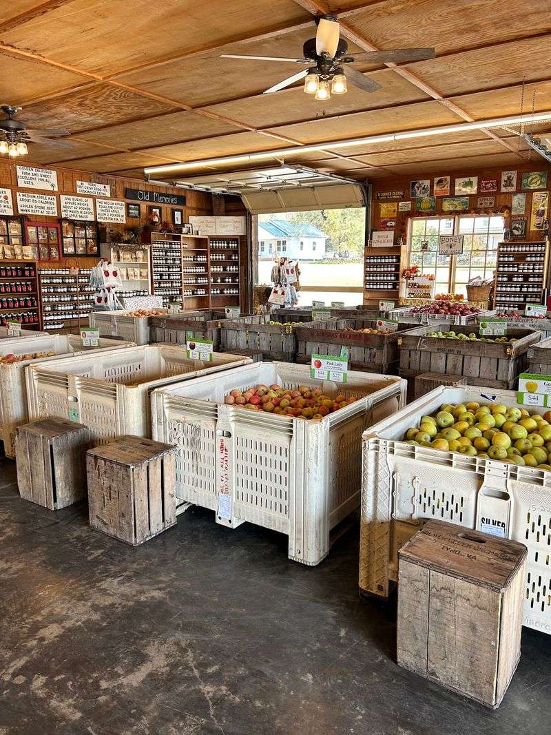 Fresh Virginia Apples Take Center Stage