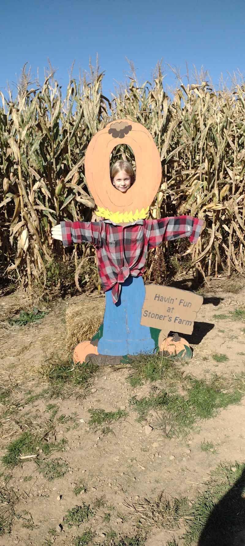 Stoner's Dairy Farm & Corn Maze