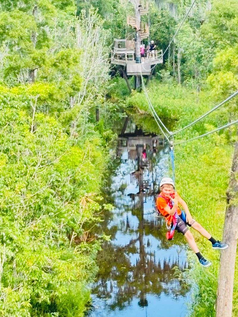 Look Out For Wildlife From Above