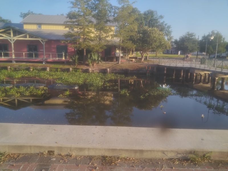 Step Outside To Read The Bayou
