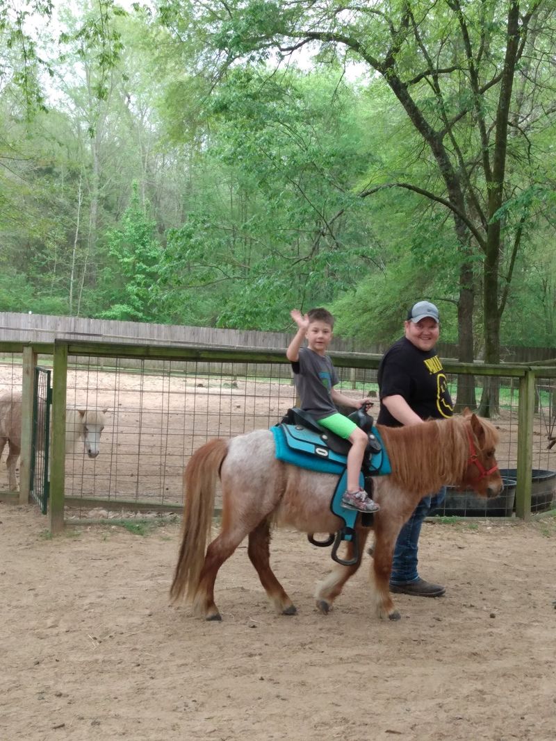 Leave Room In Your Day For Go-Karts And Kid Activities
