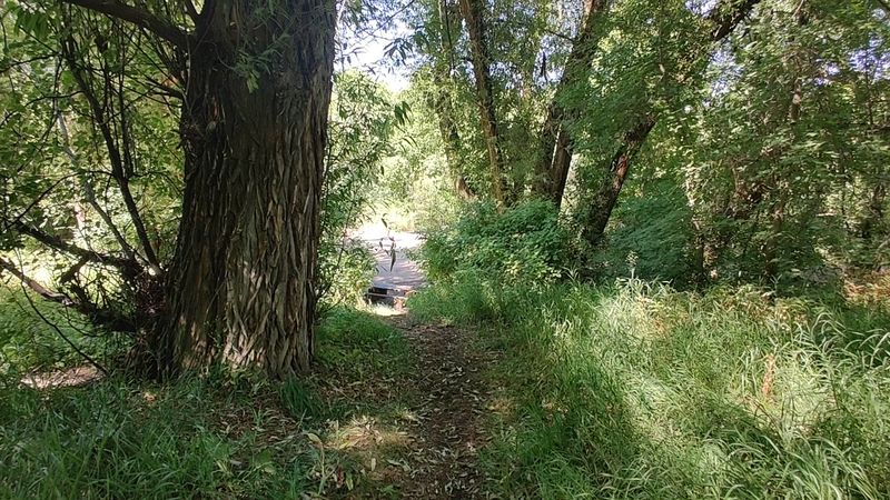 Box Elder Campground, Mantua
